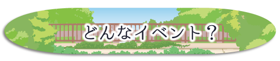 どんなイベント？