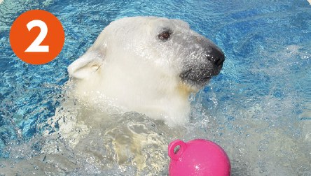 とべ動物園