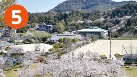 陶街道ゆとり公園