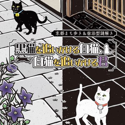黒猫を追いかける白猫、白猫を追いかける君